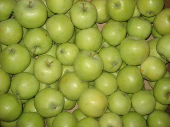 Яблоки Юбиляр оптом в Самаре