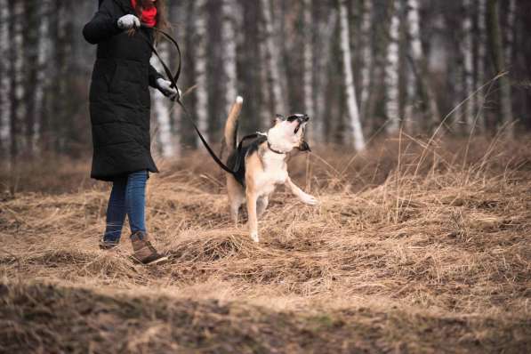Молодой энергичный Майор ищет семью в Москве фото 54