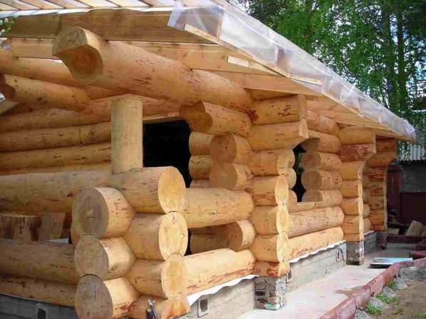 Изготовление сруба деревянного дома или бани в Красноярске фото 4
