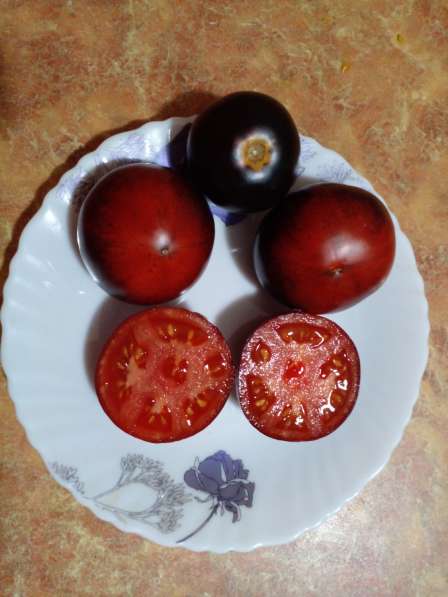 Семена урожайных томатов в Барнауле фото 8