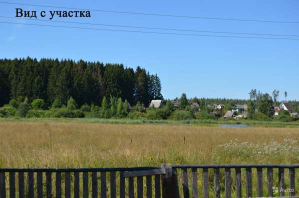 Дом (Белоруссия) в фото 12