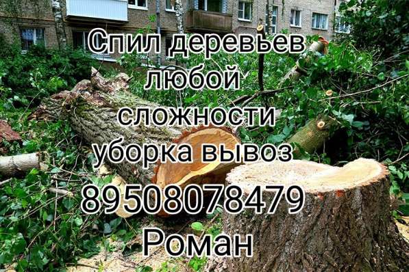 Спил любой сложности
