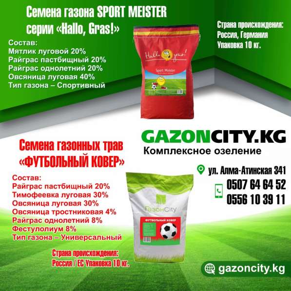 Семена газона SPORT MEISTER