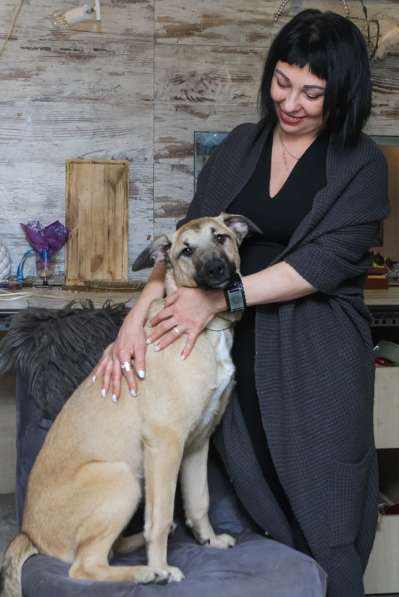 Милая домашняя собака-обнимака, 7 месяцев в Санкт-Петербурге фото 4