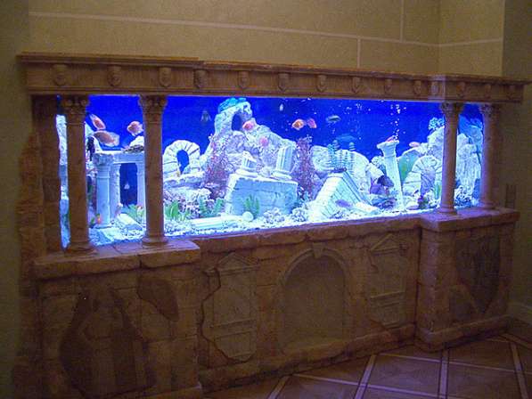 Оформление и обслуживание аквариумов