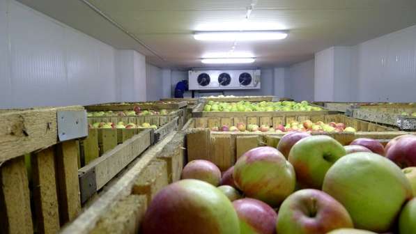 Овощные холодильные камеры в Крыму с установкой. Сервис 24 ч в Симферополе фото 12