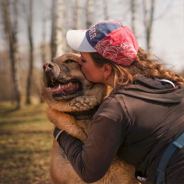 Кохинор ищет семью в Москве фото 20