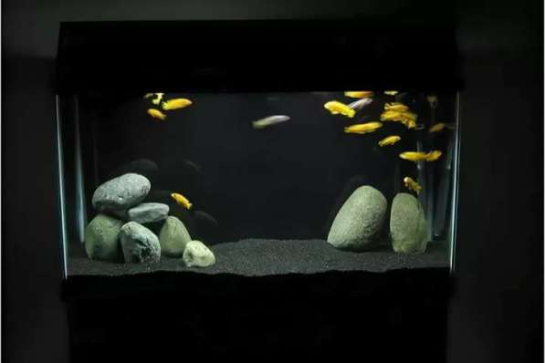 Грунт, камни черного цвета для аквариума в Москве фото 3