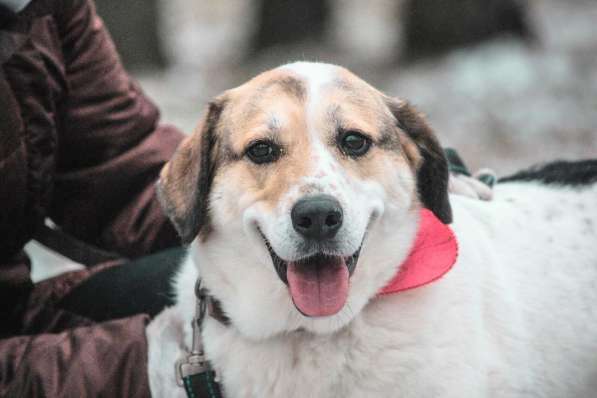 Улыбчивый лучик Фаина ищет семью