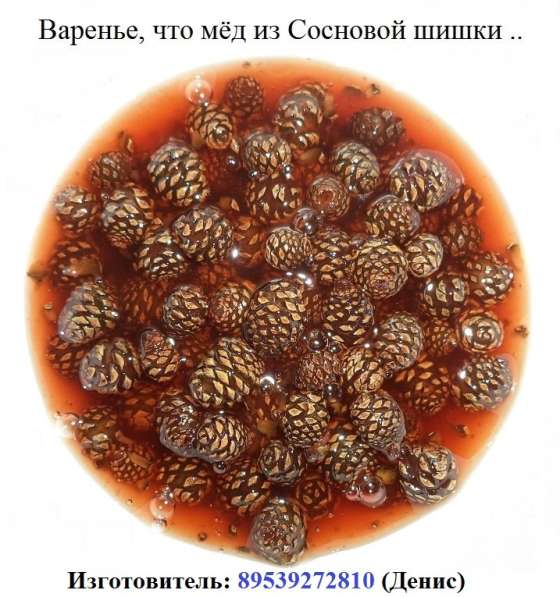 Продам сосновую шишку в Томске