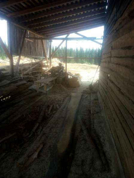 Продам или обменяю производство по переработке древесины в Горнозаводске фото 5