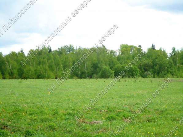 realty_mapper3.plot_in_locationПлощадь 253.00 сот.Есть Электричество, Газ. в Москве фото 13