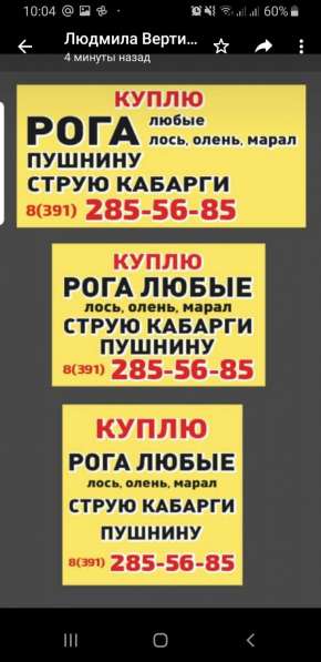 Рога куплю любые в Красноярске