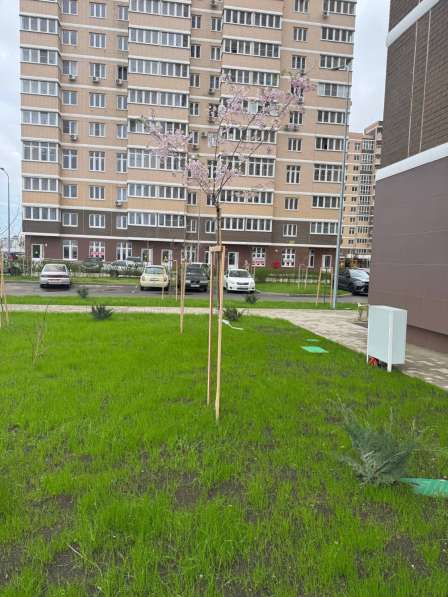 Благоустройство территорий под ключ. Ландшафтный дизайн в Краснодаре фото 3