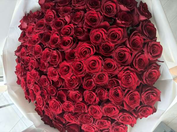 Срочно в Москве