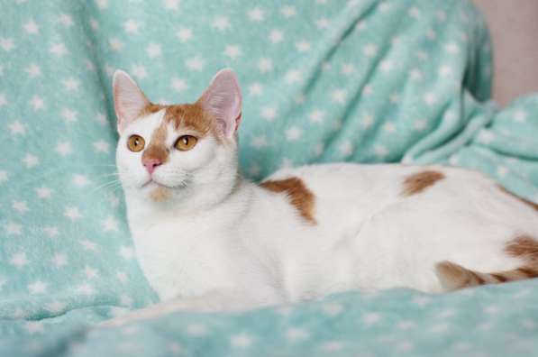 Веселая Ленси в фото 4