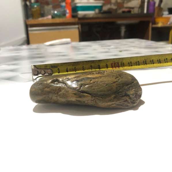 Натуральный камень, окаменелости в Гулькевичах фото 9