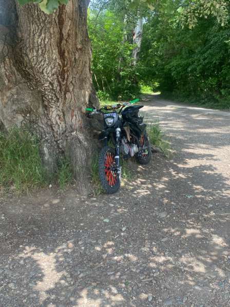 Пит байк 125 19/16