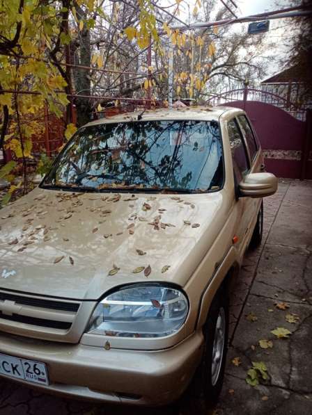 Chevrolet, Niva, продажа в Волгодонске в Волгодонске фото 4