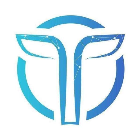 Настройщик рекламы