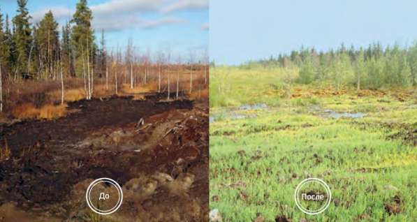 Сапропелевая рекультивация техногенно нарушенных земель в Астрахани фото 6