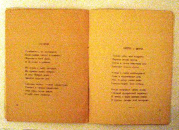 Китаев А. Оранжевый колорит: Стихи. 1921год. 300 экз в Москве фото 5