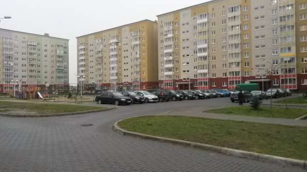 Сдам магазин 10 кв. м ул. Левитана в Калининграде фото 39