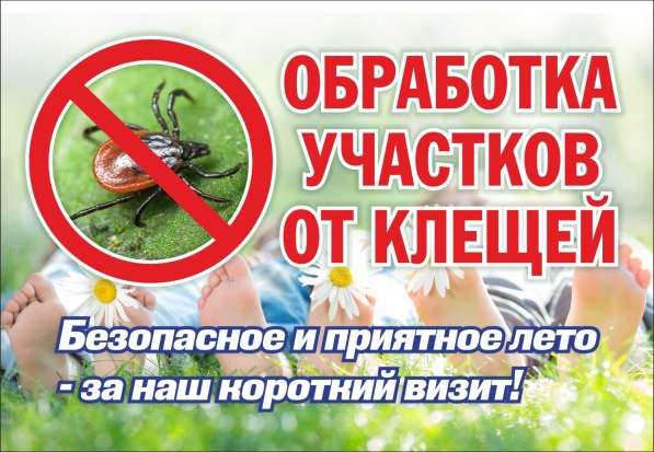 Противоклещевая обработка в Петрозаводске