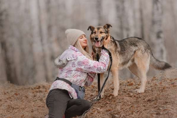 Дружелюбный Денвер ищет семью в Москве фото 20