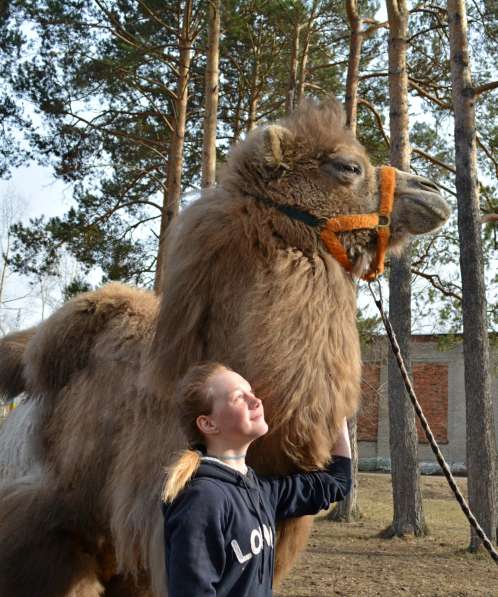 Приглашаем на экскурсию в контактактный зоопарк и конюшню в Томске фото 5