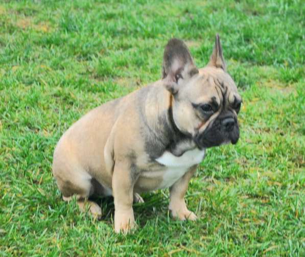 Подрощенная девочка в Москве фото 9