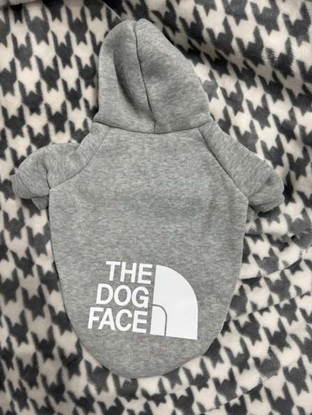 Одежда для маленьких собак