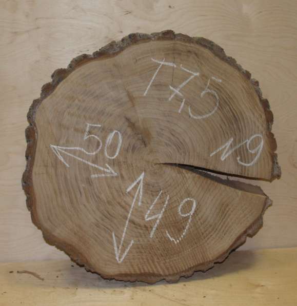 Поперечные спилы карагач в Москве фото 3