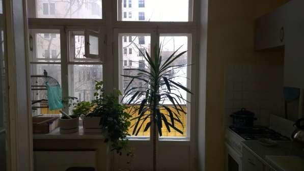 НА СЬЕЗД - 1-КОМНАТНАЯ КВАРТИРА + КОМНАТА в Москве фото 21