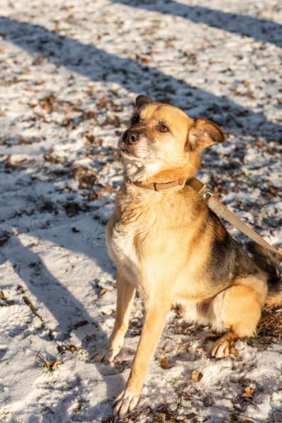 Харизматичный Марк ищет дом в Москве фото 9