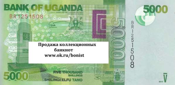 Распродажа коллекционных банкнот