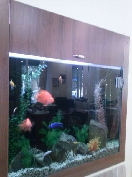 Сдам офис в центре города в Ростове-на-Дону фото 11