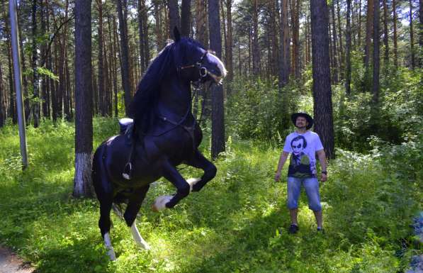 Катание на лошадях, романтика Красноярск в Красноярске фото 6