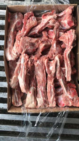 Мясо на хряще, крестец свиной, хрящи свиные в Куровском фото 4