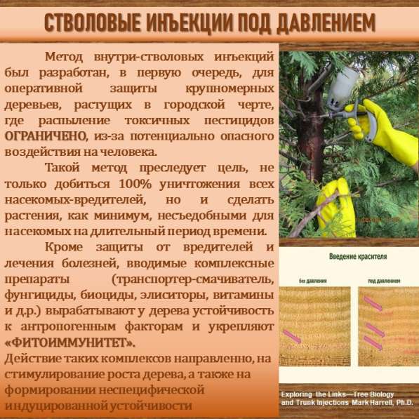 СИСТЕМА УПРАВЛЕНИЯ ФИТОСАНИТАРНЫМ СОСТОЯНИЕМ ЭКОСИСТЕМ в Сочи фото 23