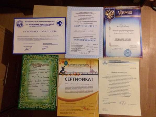 Передержка стационар и реабилитация для животных в Санкт-Петербурге фото 8