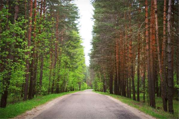 Продам двухкомнатную квартиру в Тверь.Жилая площадь 60 кв.м.Этаж 2.Дом кирпичный. в Твери фото 4