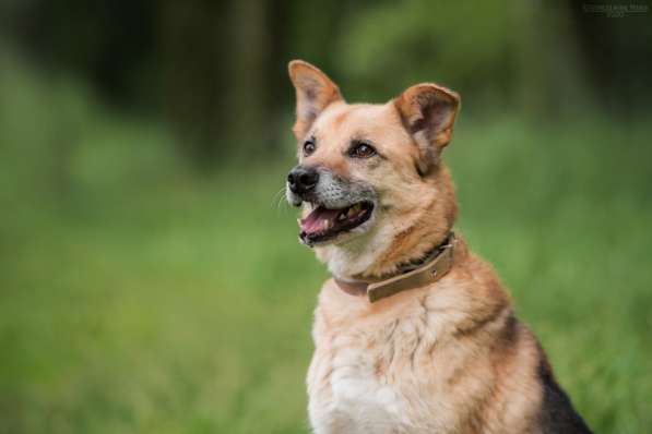 Харизматичный Марк ищет дом в Москве фото 23