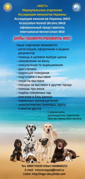 Выставка собак в фото 4