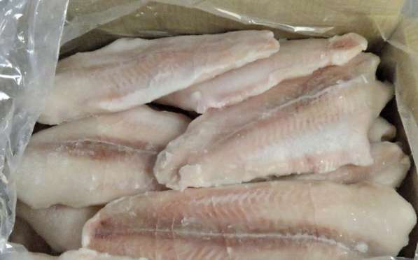 Рыбные филе судака, сазана и др. оптом с бесплатной доставка в фото 4