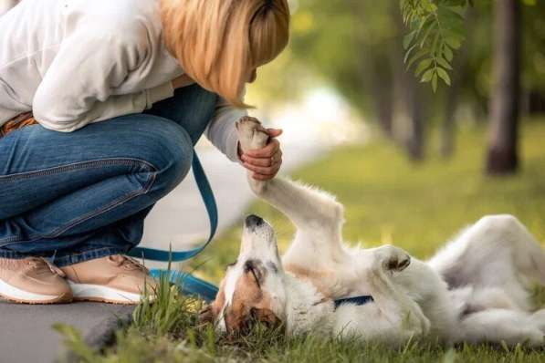 Тунис в поисках любящей семьи в Москве фото 11