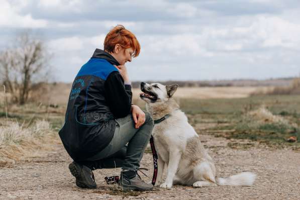 Суперактивная Халва в Москве фото 25