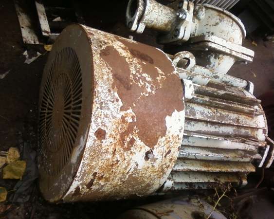 Электродвигатель 2В250 75/3000 в Набережных Челнах фото 3