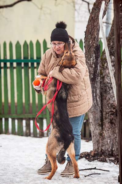 Щенок Фанта в добрые руки! В дар! в Москве фото 6