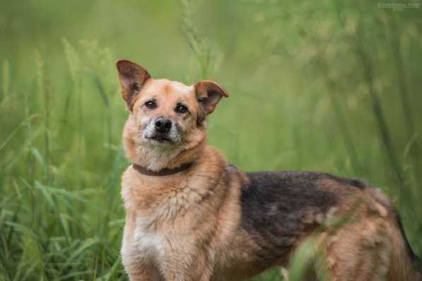 Харизматичный Марк ищет дом в Москве фото 21
